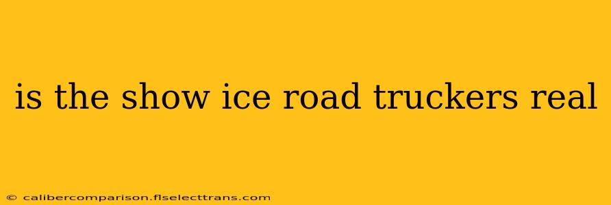 is the show ice road truckers real