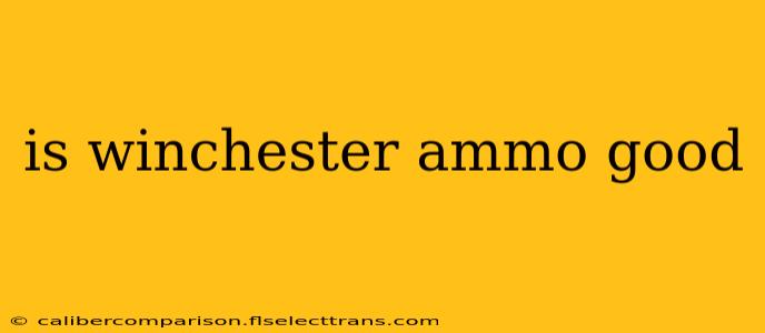 is winchester ammo good