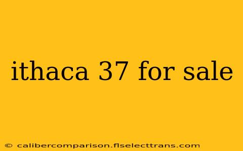 ithaca 37 for sale