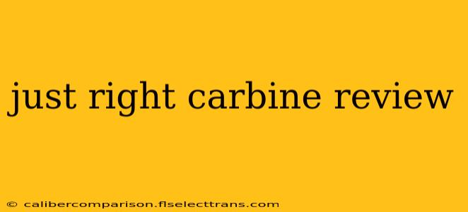 just right carbine review