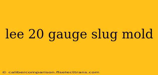 lee 20 gauge slug mold