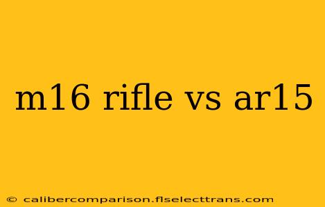 m16 rifle vs ar15