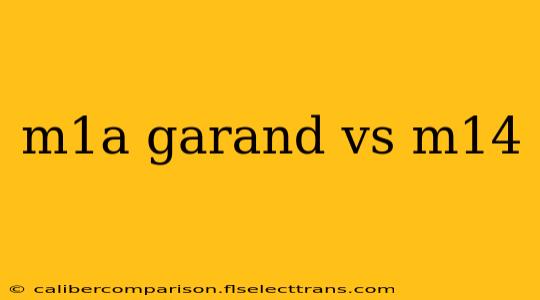 m1a garand vs m14