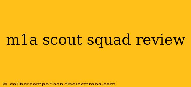 m1a scout squad review