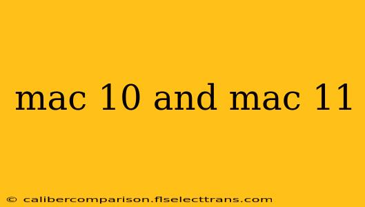 mac 10 and mac 11