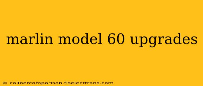 marlin model 60 upgrades