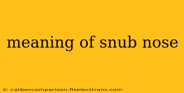 meaning of snub nose