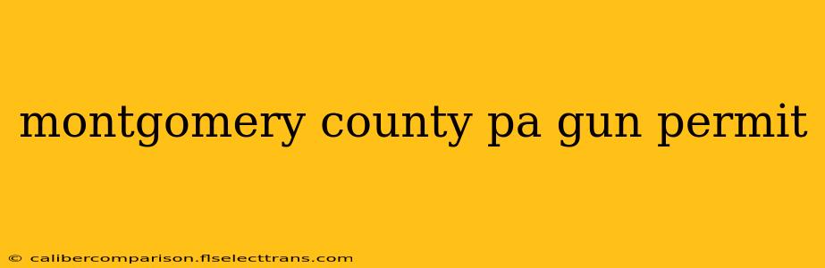 montgomery county pa gun permit