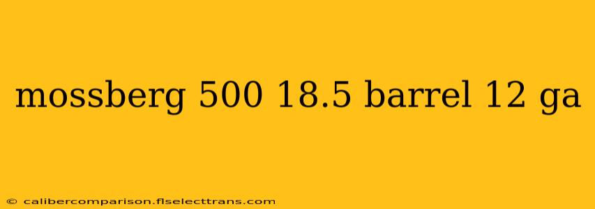 mossberg 500 18.5 barrel 12 ga
