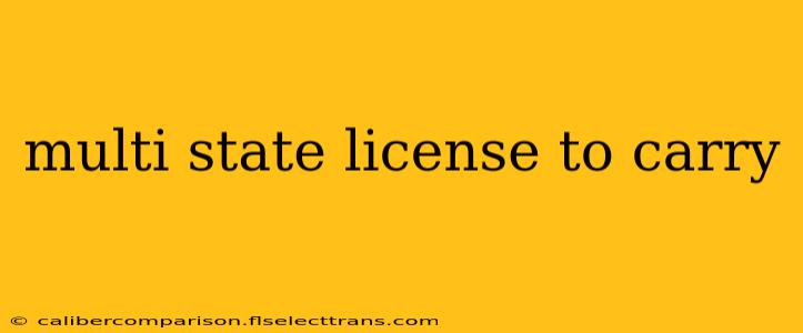 multi state license to carry