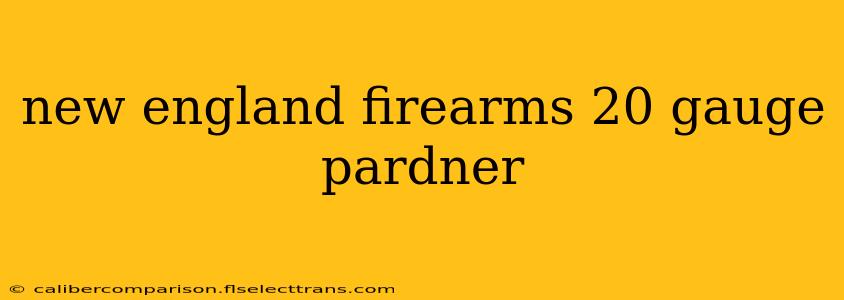 new england firearms 20 gauge pardner