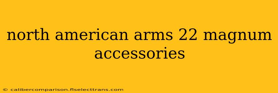 north american arms 22 magnum accessories