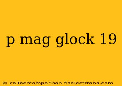 p mag glock 19