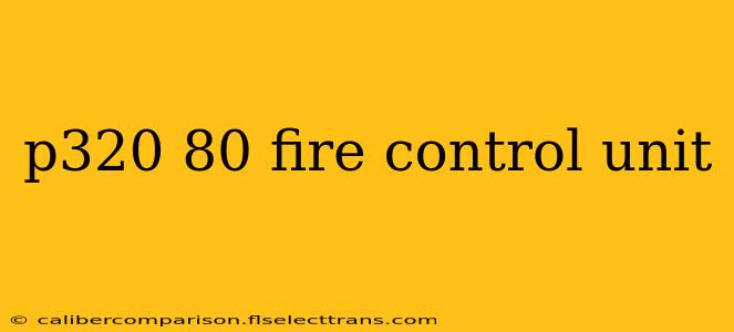 p320 80 fire control unit