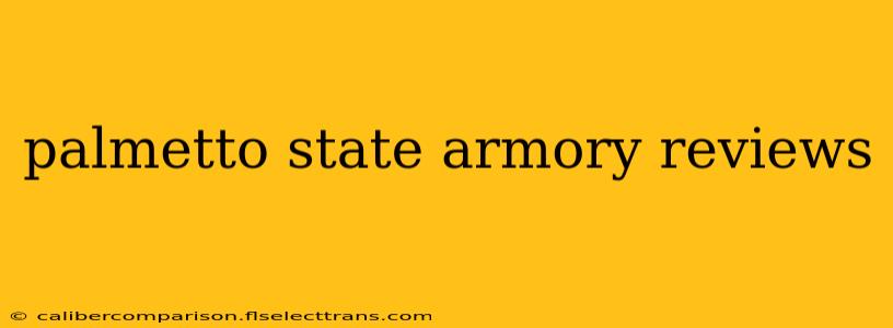 palmetto state armory reviews