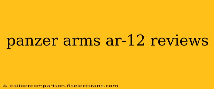 panzer arms ar-12 reviews