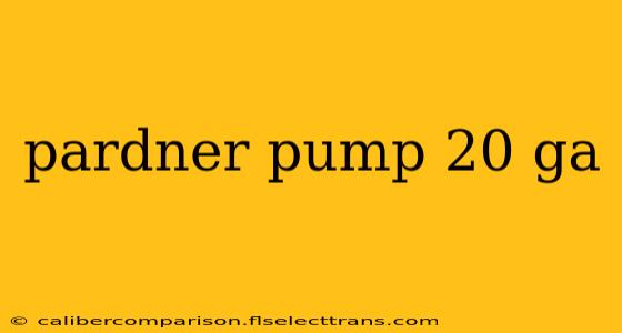 pardner pump 20 ga