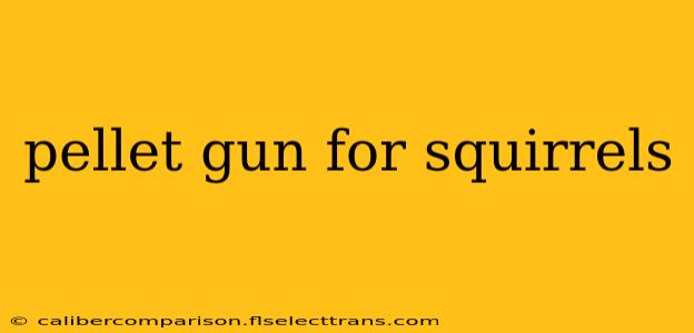 pellet gun for squirrels