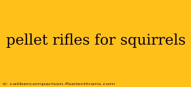 pellet rifles for squirrels