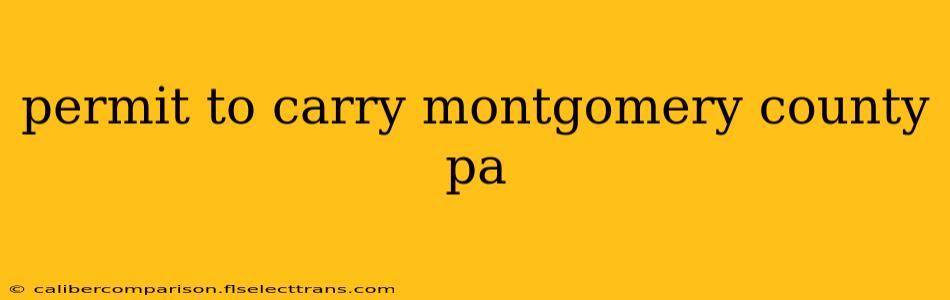 permit to carry montgomery county pa