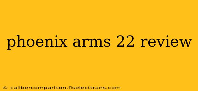 phoenix arms 22 review