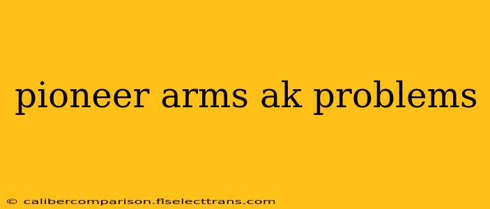 pioneer arms ak problems