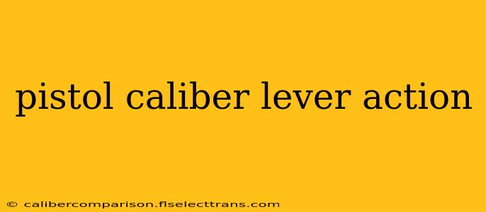 pistol caliber lever action