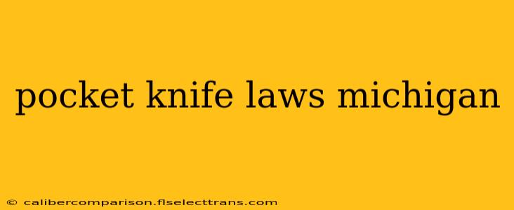 pocket knife laws michigan