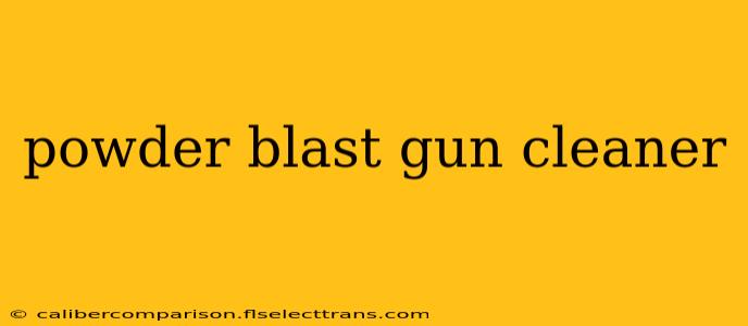 powder blast gun cleaner