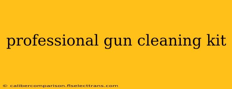 professional gun cleaning kit