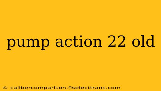 pump action 22 old