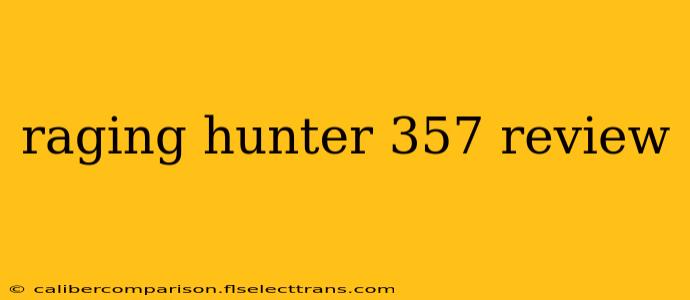 raging hunter 357 review