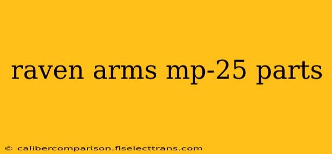 raven arms mp-25 parts