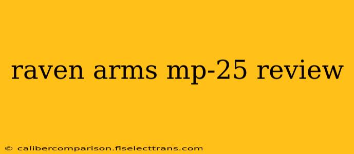 raven arms mp-25 review