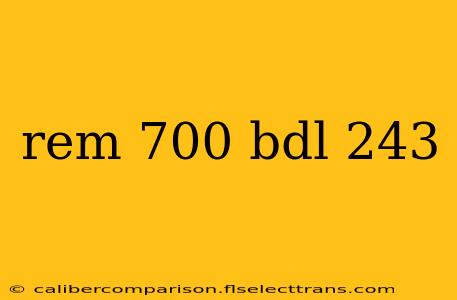 rem 700 bdl 243