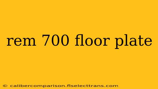 rem 700 floor plate