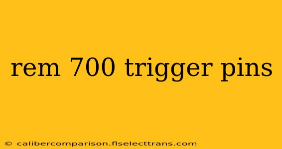 rem 700 trigger pins