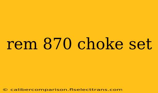 rem 870 choke set