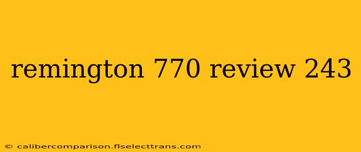 remington 770 review 243