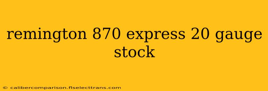 remington 870 express 20 gauge stock