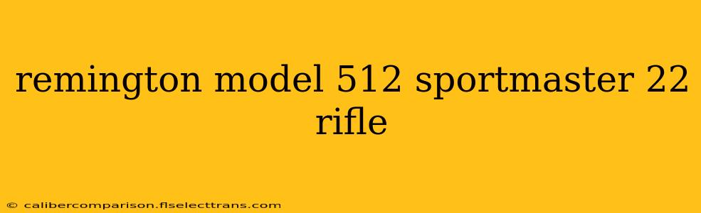 remington model 512 sportmaster 22 rifle