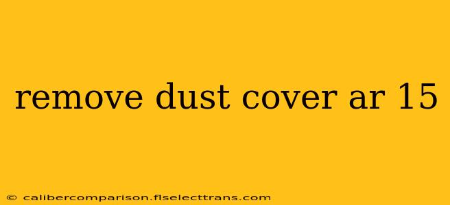 remove dust cover ar 15