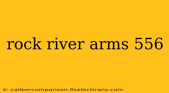 rock river arms 556