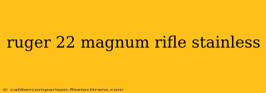 ruger 22 magnum rifle stainless