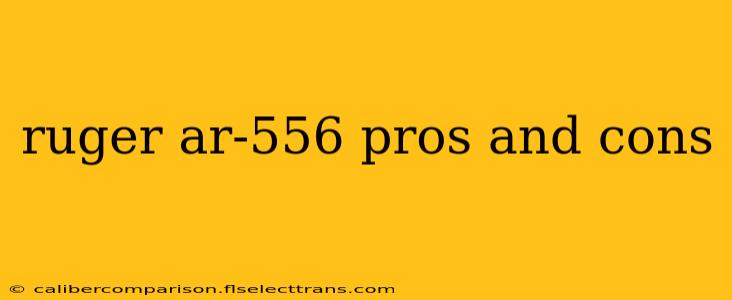 ruger ar-556 pros and cons