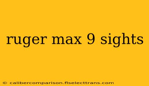 ruger max 9 sights