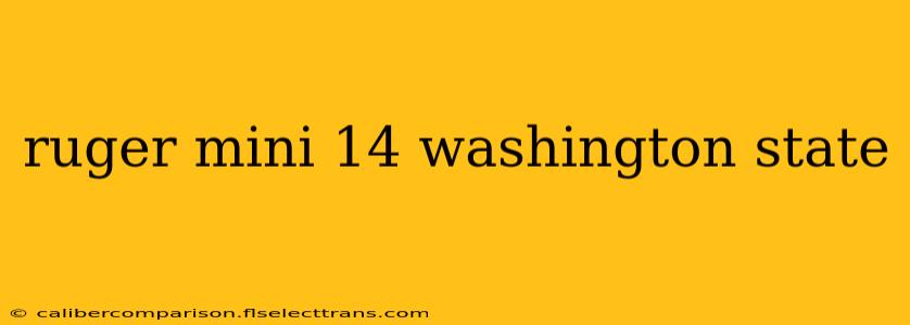 ruger mini 14 washington state