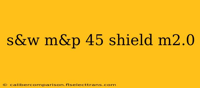 s&w m&p 45 shield m2.0