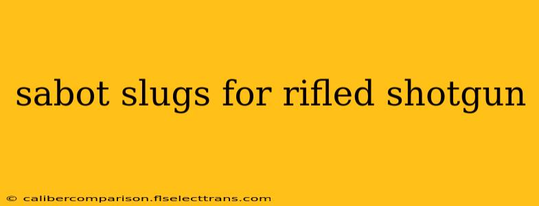 sabot slugs for rifled shotgun