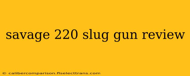 savage 220 slug gun review